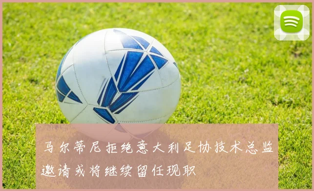 马尔蒂尼拒绝意大利足协技术总监邀请或将继续留任现职
